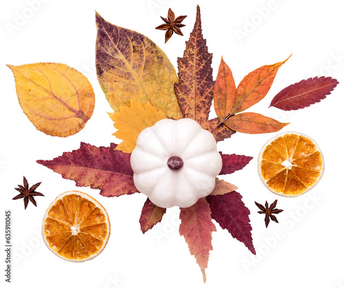 Autumn floral composition. White decorative pumpkin and colorful autumn leaves cut out on transparent background