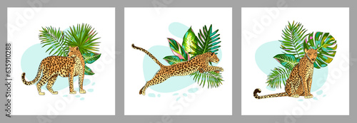 Set of templates with leopards and tropical leaves. The animal sits, stands and jumps. Square posters, covers, wall pictures. Cartoon style. Vector illustration.