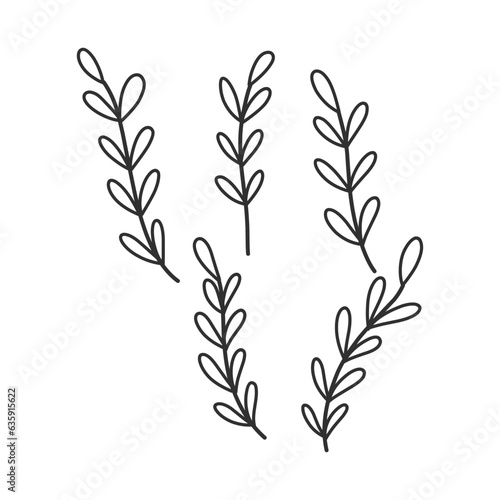 Floral branch and minimalist leaves for logo or tattoo. Hand drawn line wedding herb, elegant wildflowers. Minimal line art drawing for print, cover or wallpaper © hmzstuff
