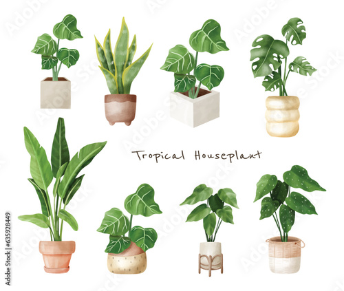 A set of tropical houseplants, Indoor plants in the flowerpot in watercolor vector