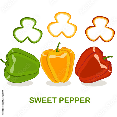 Sweet pepper. Vector illustration. Easy to edit. white background