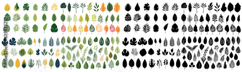 Fototapeta Naklejka Na Ścianę i Meble -  set of illustration and silhouettes of tropical leaves. isolated on a transparent background. eps 10