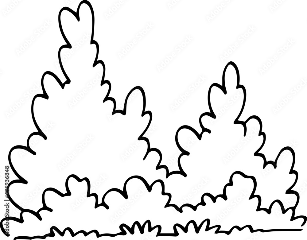 hand drawn bush illustration.
