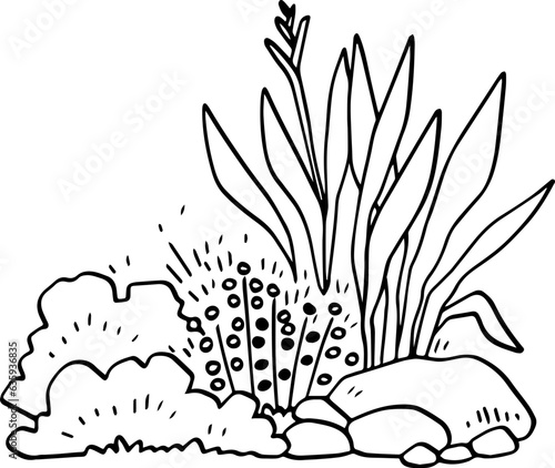 hand drawn bush illustration.