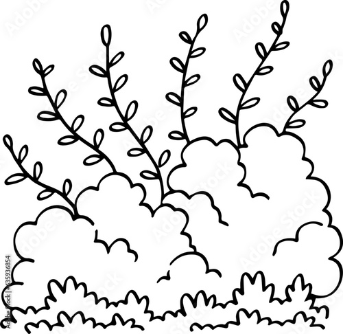hand drawn bush illustration.