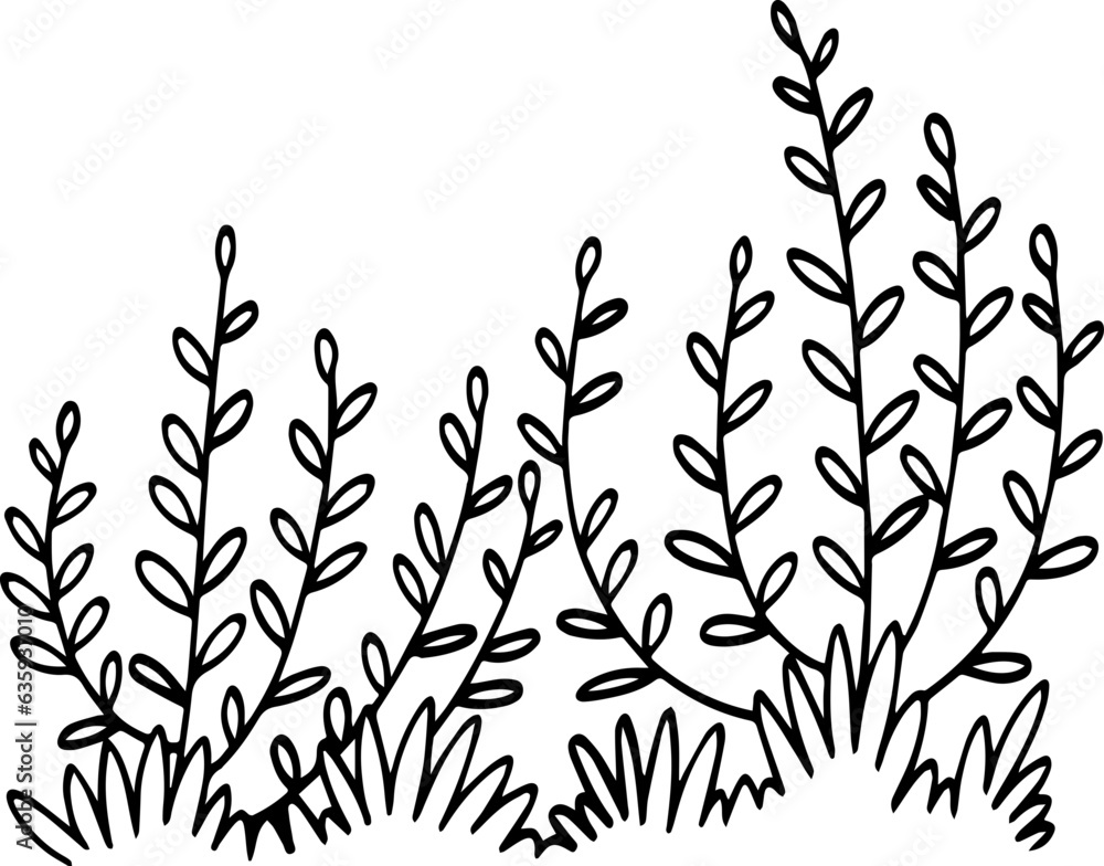 hand drawn bush illustration. hand drawn bush illustration.