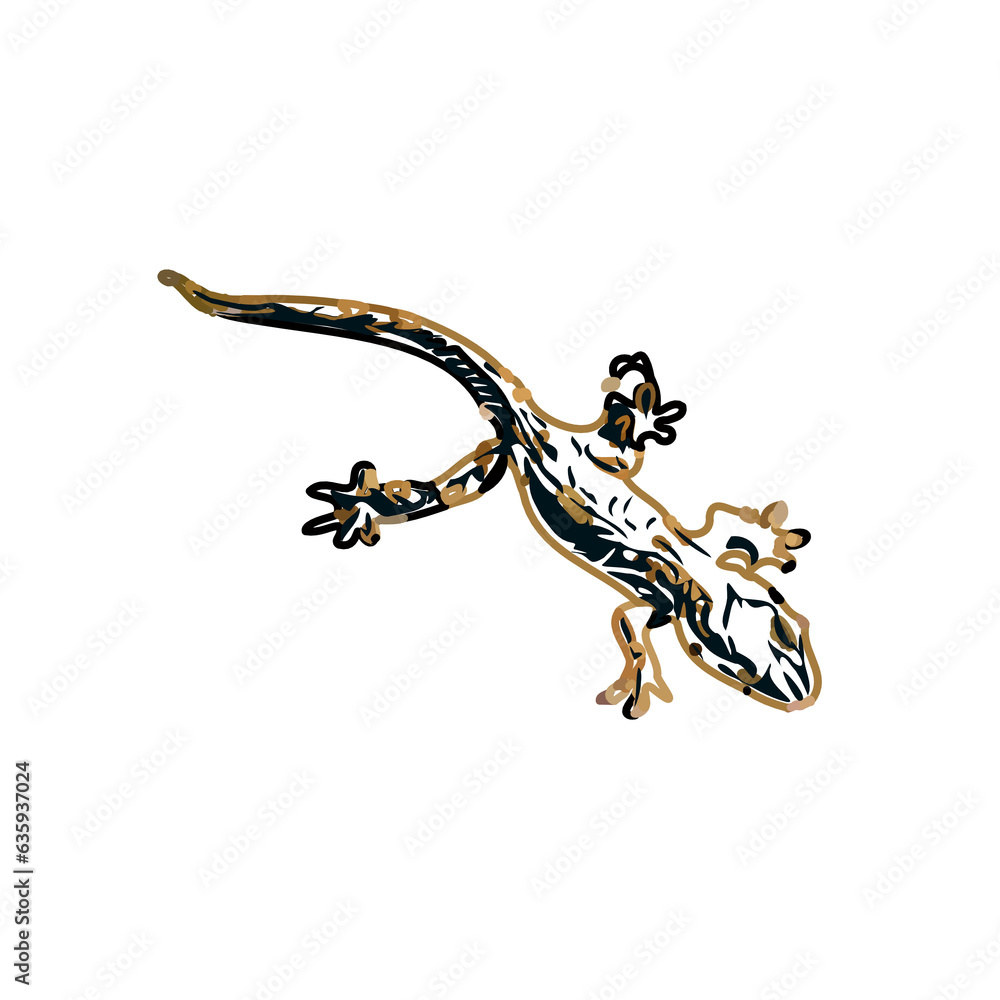 Obraz premium Color sketch of gecko with a transparent background