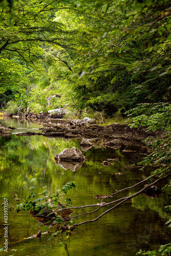 Idyllic green valley of river Reka in Slovenia with lush vegetation and hiking track in a forest near famous Skocjan show caves, Divača and Škoflje village. Rocks and trees in summer twilight.  photo