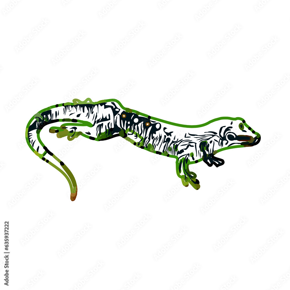 Color sketch of gecko with a transparent background Color sketch of gecko with a transparent background