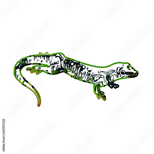 Color sketch of gecko with a transparent background