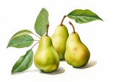 Green pear on white background