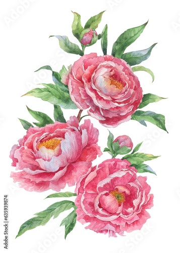 Bouquet of pink watercolour peony
