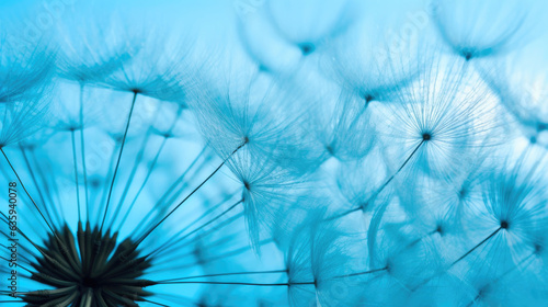 Blue Sky Whispers: Dandelion's Secret