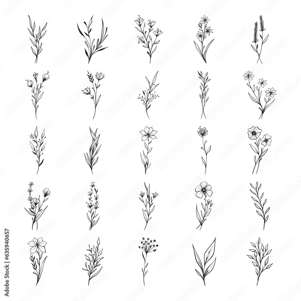Fototapeta premium Set of plant hand drawn vector