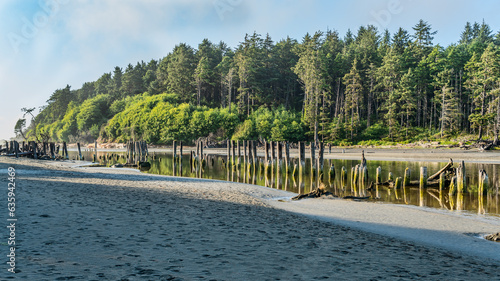 Moclips River Pilings 2 photo