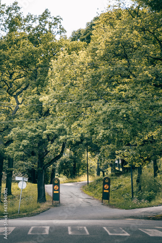 Park in Stockholm with green trees