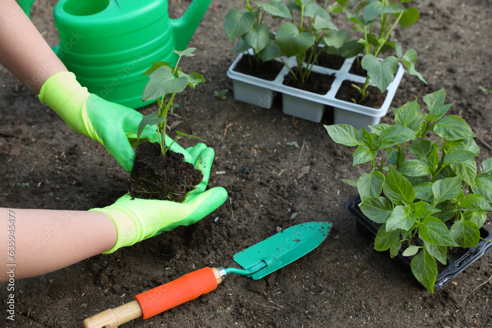 Woman wearing gardening gloves transplanting seedling from plastic container in ground outdoors, closeup Woman wearing gardening gloves transplanting seedling from plastic container in ground outdoors, closeup