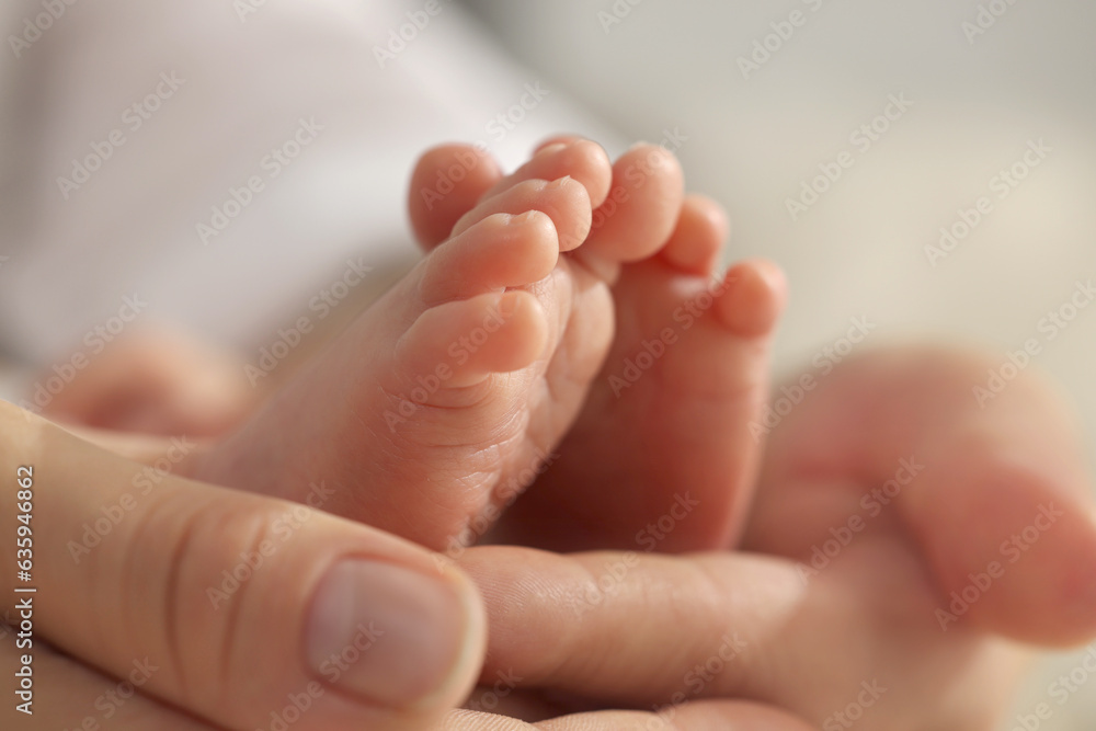 Mother holding her newborn baby, closeup view on feet. Lovely family Mother holding her newborn baby, closeup view on feet. Lovely family