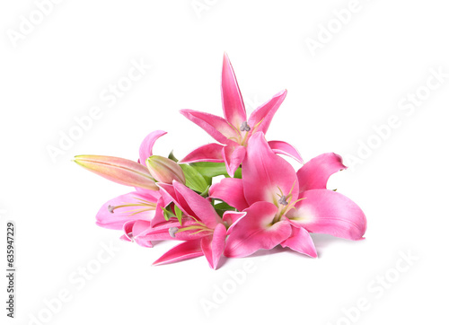 Beautiful pink lily flowers isolated on white