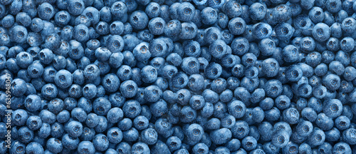 Wet fresh blueberries as background, top view. Banner design