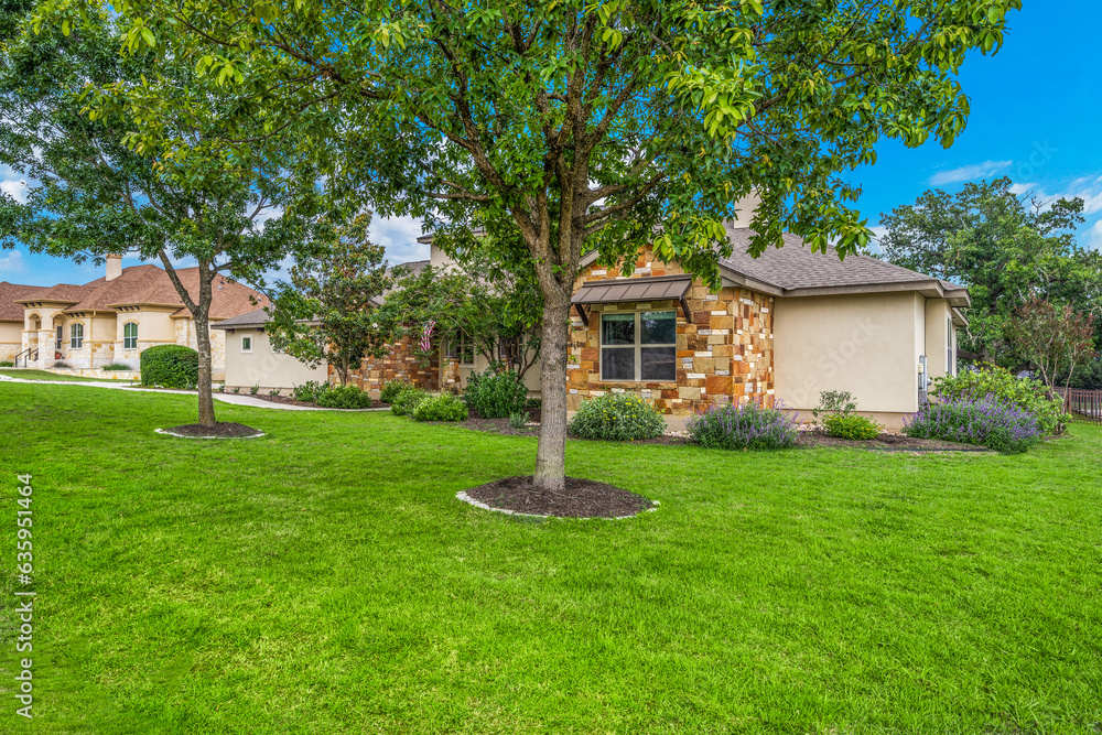 house with a front yard