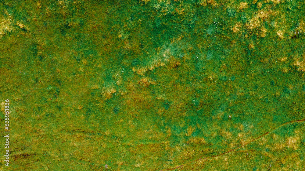 Green grass natural texture for background, top down drone view.