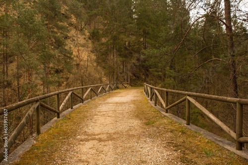 A bridge in the forest north of Ovaro village in the Carnia region of Friuli-Venezia Giulia, north east Italy