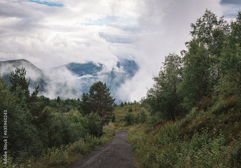 Beautiful mountain landscape with forest and foggy clouds in the background