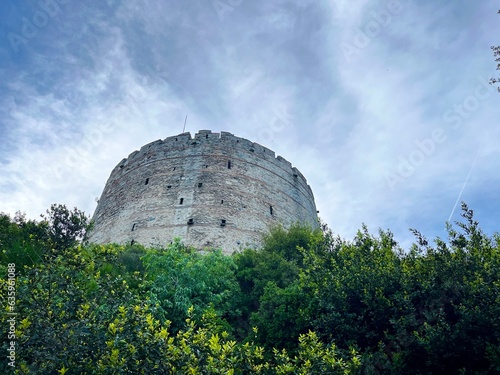 big round tower among green branches  photo