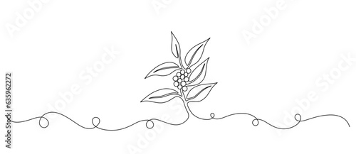 coffee tree line art style