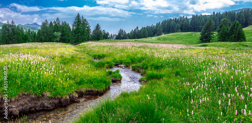 Vista panoramica di alpeggio con piccolo corso d'acqua in montagna. Prato verde fiorito e fiori di campo in estate. Paesaggio alpino. Valtournenche. Cervinia. Alpi italiane. Alpi Italia. Valle d'Aosta