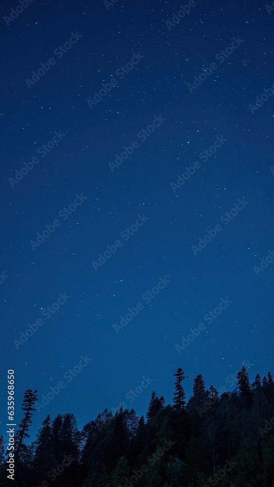 A vertical shot of a night sky full of stars and trees in the background A vertical shot of a night sky full of stars and trees in the background