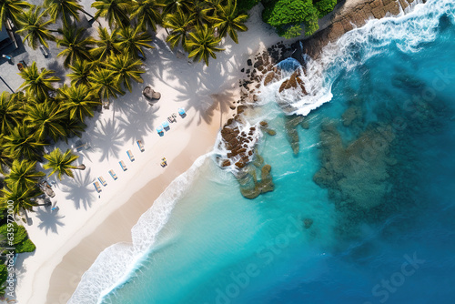 Vue aérienne d'une plage exotique bordée de palmier