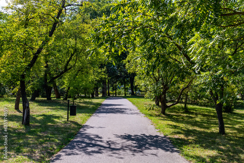 Beautiful photo in the park in Chisinau