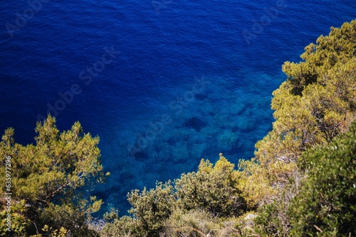 a bright blue water filled with lots of green plants near the shore