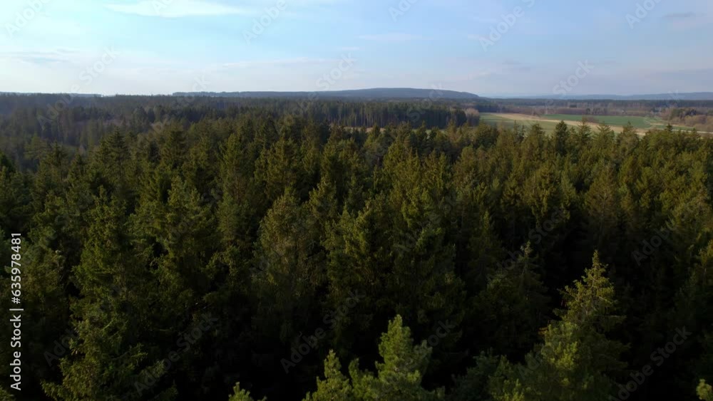 Aerial of the green trees of the dense forest with a field in the background Aerial of the green trees of the dense forest with a field in the background