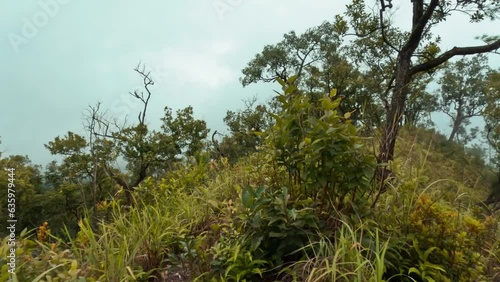 POV hiking beautiful forest trail with amazing breathtaking mountain view, hiqh quality wide angle 4K travel active lifestyle concept footage. Northern Thailand. photo