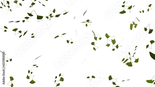 Isolated falling ginkgo or gingo green tree leaves falling