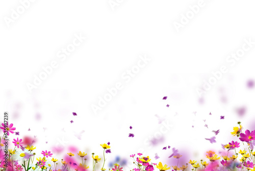 Flower set isolated on transparent background, rose chamomile Azalea hydrangea tulip cut out cutout isolated, summer flowers, png white yellow red pink purpure	