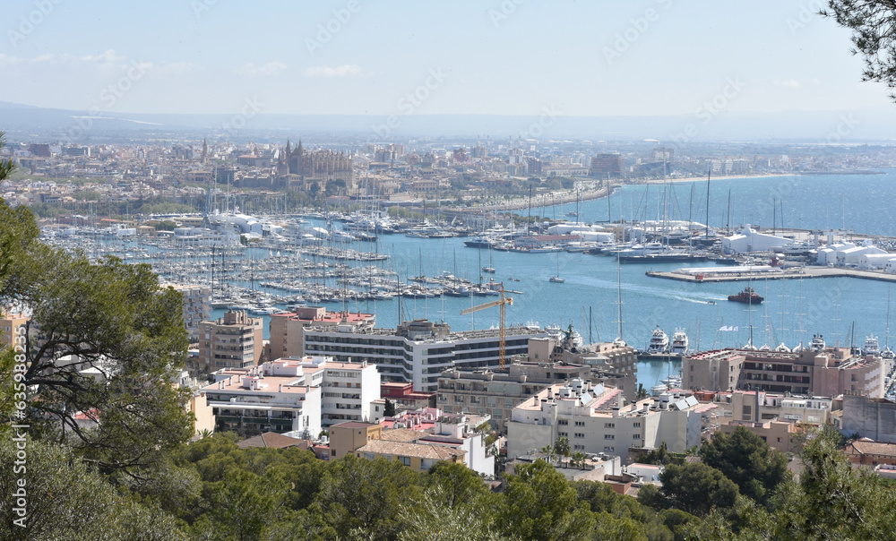 Panoramic View of Port of Palma, Mallorca