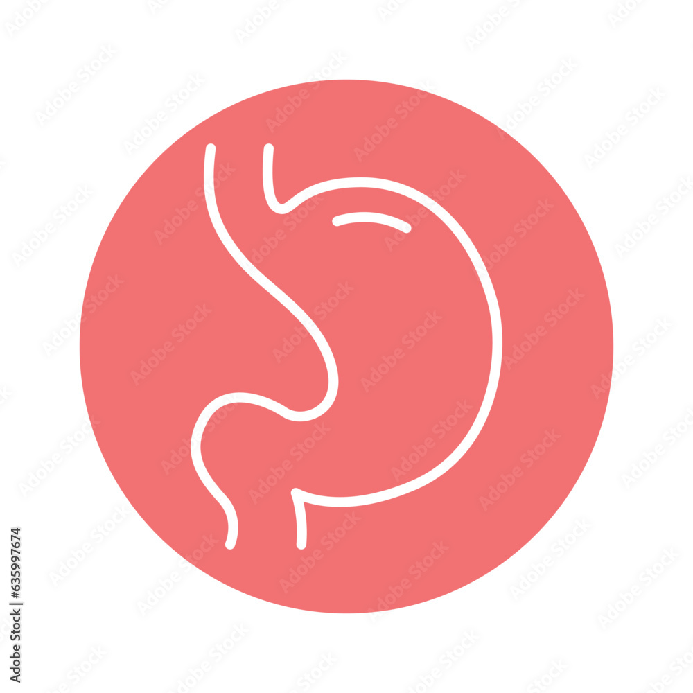 Human organ stomach line icon. Isolated vector element. Human organ stomach line icon. Isolated vector element.