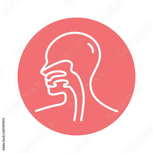 Human organ esophagus line icon. Isolated vector element.