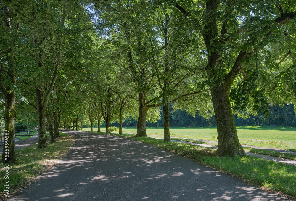 The famous Lichtentaler Allee in Baden Baden. Where emperors and czars strolled. Baden Wuerttemberg, Germany, Europe