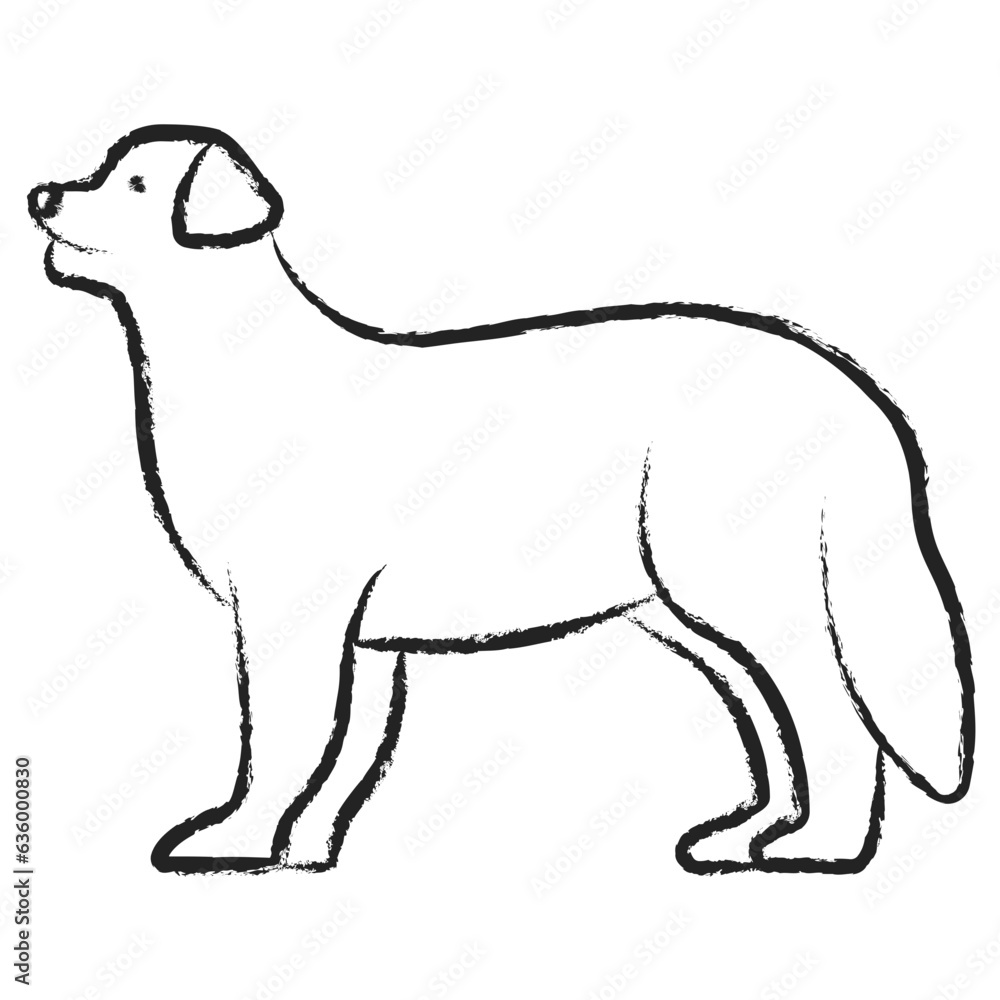 Hand drawn Bernese Mountain dog icon