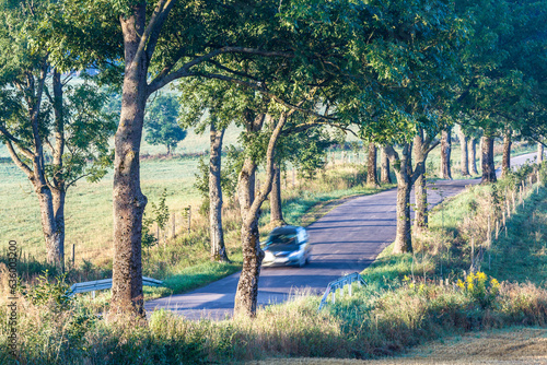 Fototapeta Naklejka Na Ścianę i Meble -  View of the Masurian road.