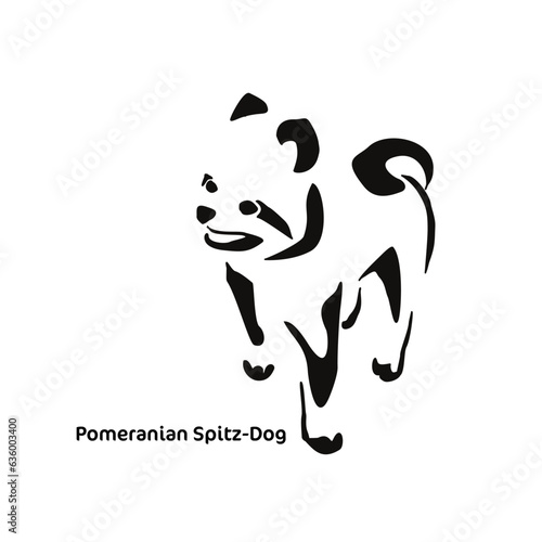 Drawing of a spitz dog. Gestalt design of a funny pet.