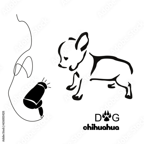 Funny little dog. Chihuahua puppy scared of hair dryer. Stylized gestalt image of an animal