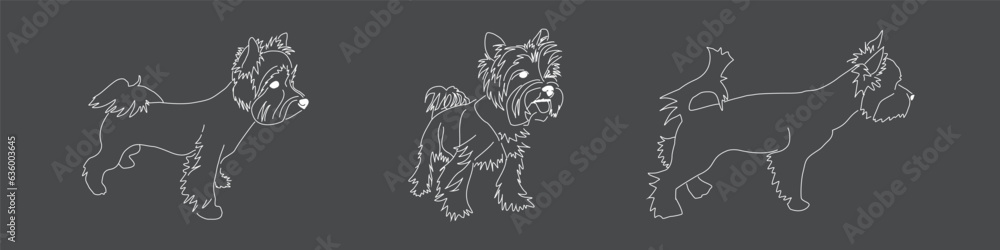Linear image of the Yorkshire Terrier on a dark gray background. Vector drawings of different dog poses Linear image of the Yorkshire Terrier on a dark gray background. Vector drawings of different dog poses
