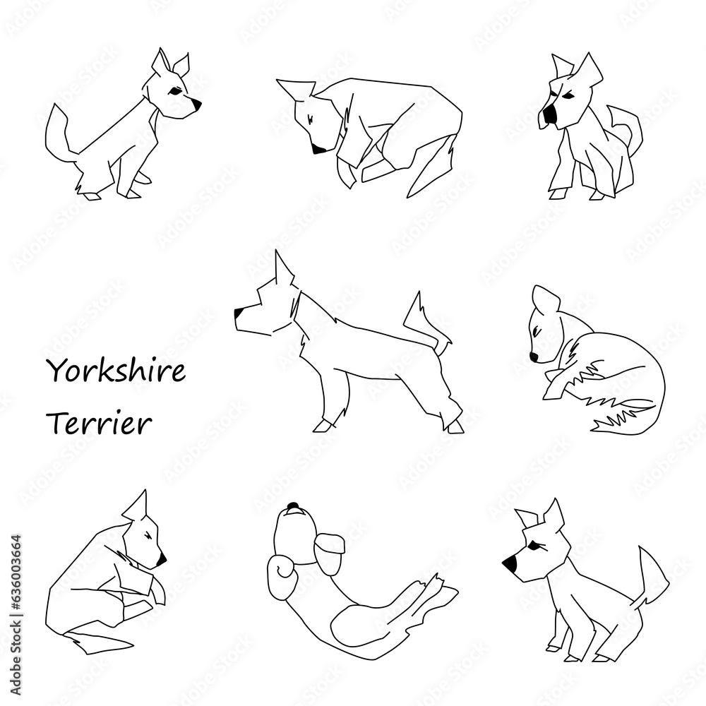 Naklejka premium Set of eight yorkshire terrier poses