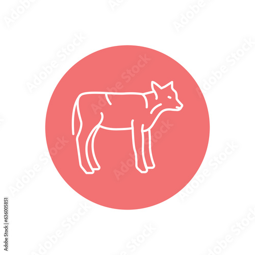 Calf animal color line icon. Pictogram for web page